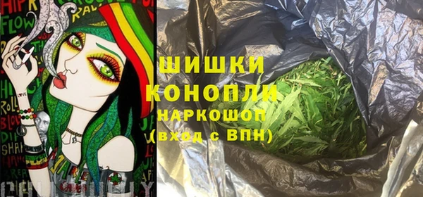 стаф Нефтегорск