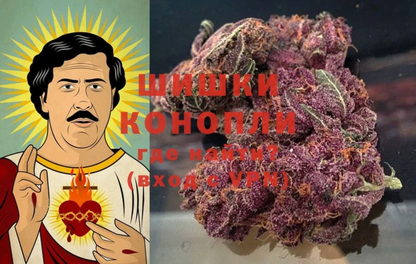 стаф Нефтегорск