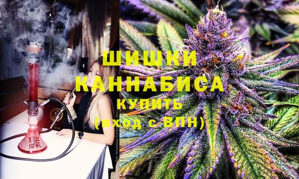 стаф Нефтегорск