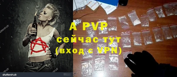 гидра Нея