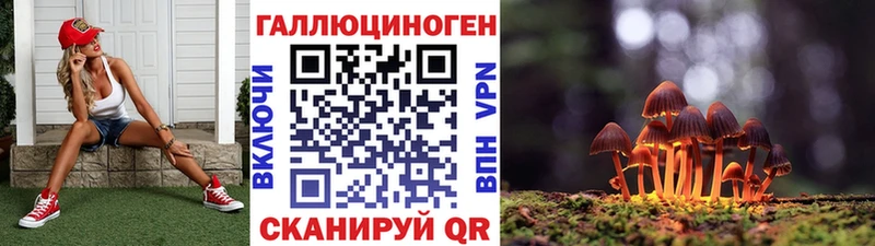 Псилоцибиновые грибы Cubensis  Купить  Владимир 